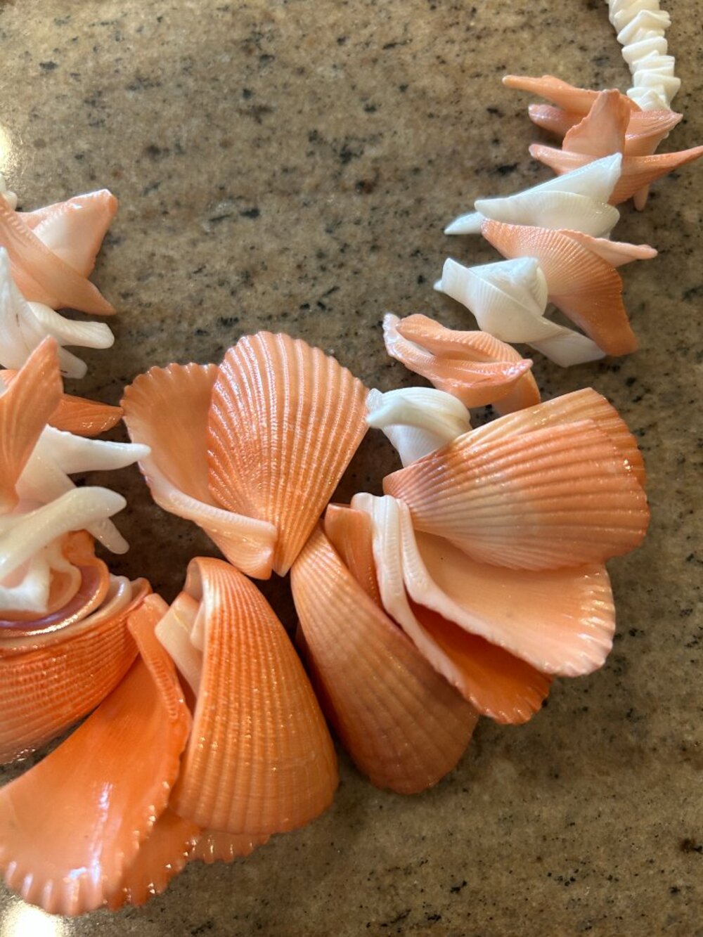 Shell necklace - Picture 2 of 5